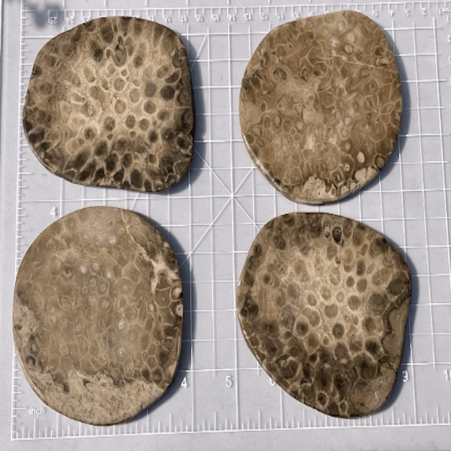 Petoskey Stone Coasters - Solid Slabs - The Petoskey Stone