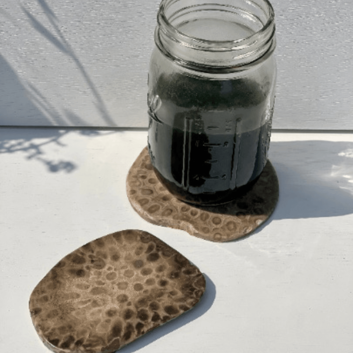 Petoskey Stone Coasters - Solid Slabs - The Petoskey Stone