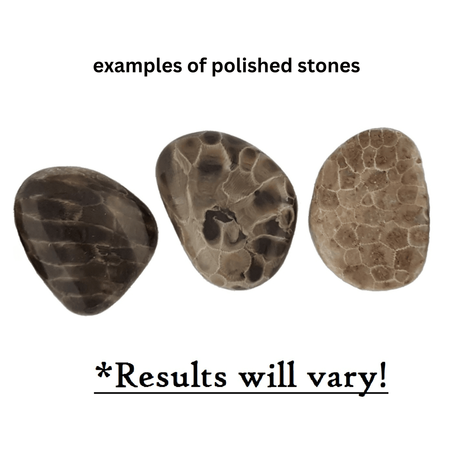 Petoskey Stone Polishing Kit - The Petoskey Stone