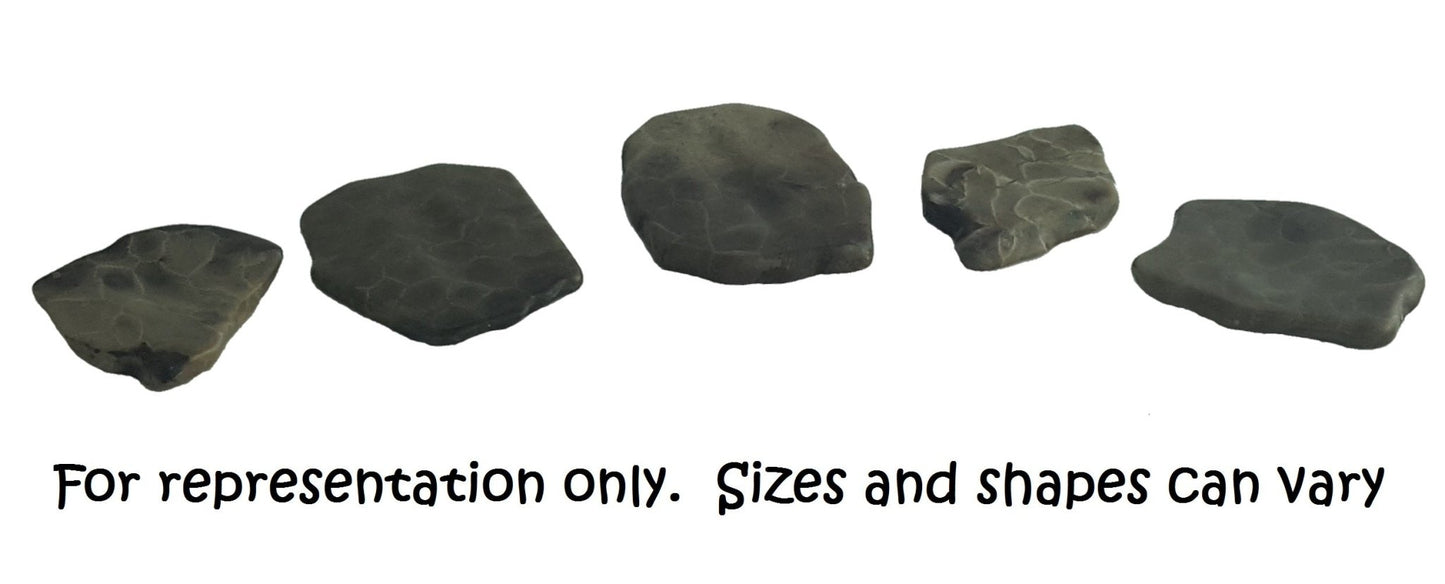 Petoskey Worry Stone - The Petoskey Stone