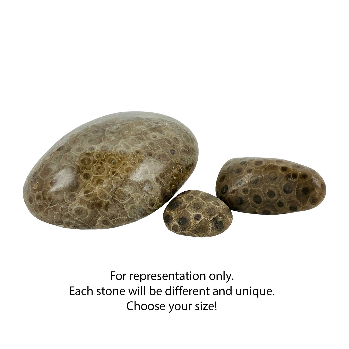 Polished Petoskey Stones - Choose your size - The Petoskey Stone
