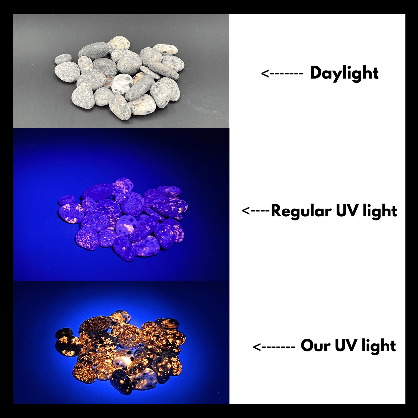 Yooperlite Adventure Package - Your Gateway to Glowing Discoveries! - The Petoskey Stone