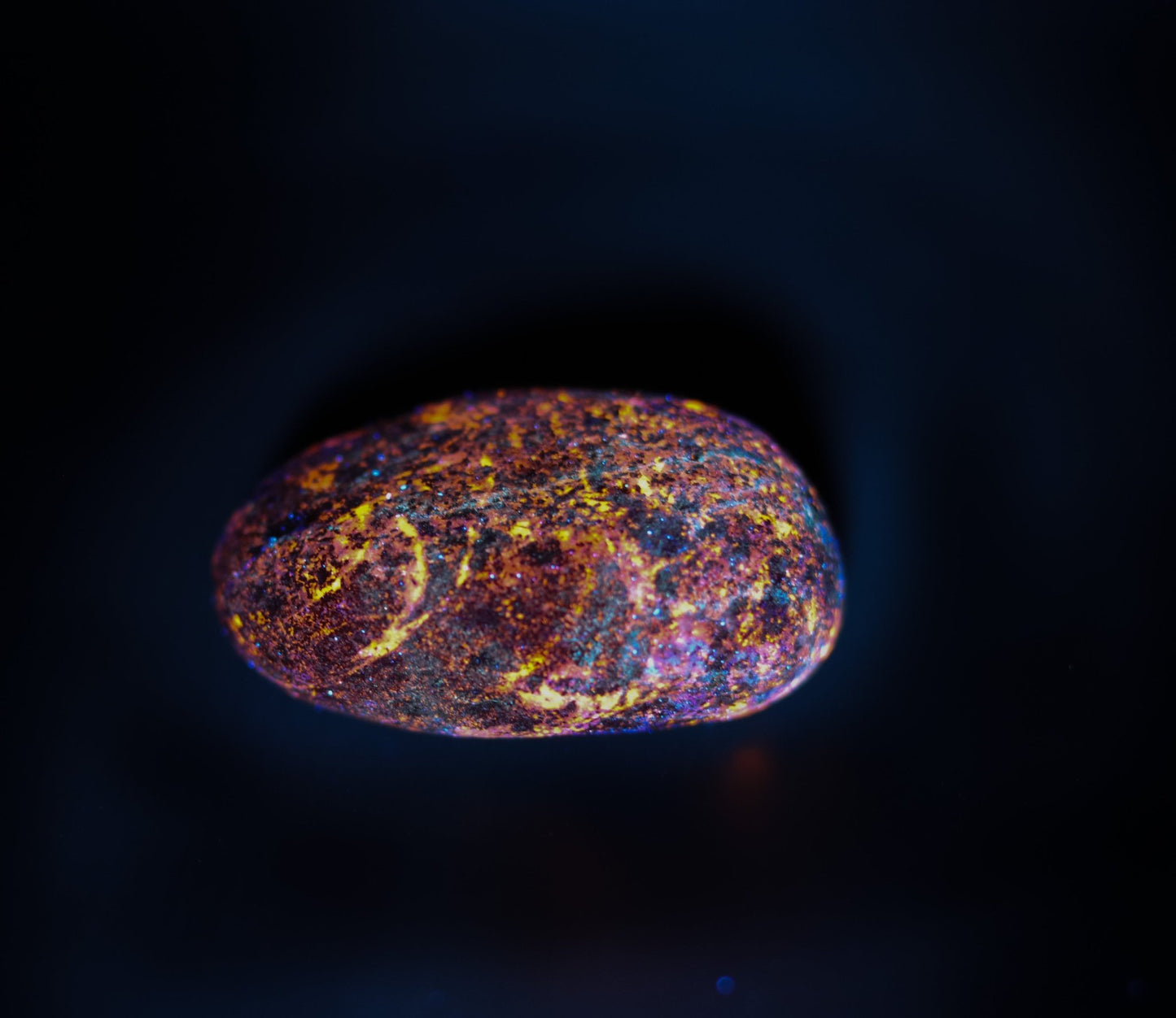 Yooperlites - Rough or Polished - The Petoskey Stone