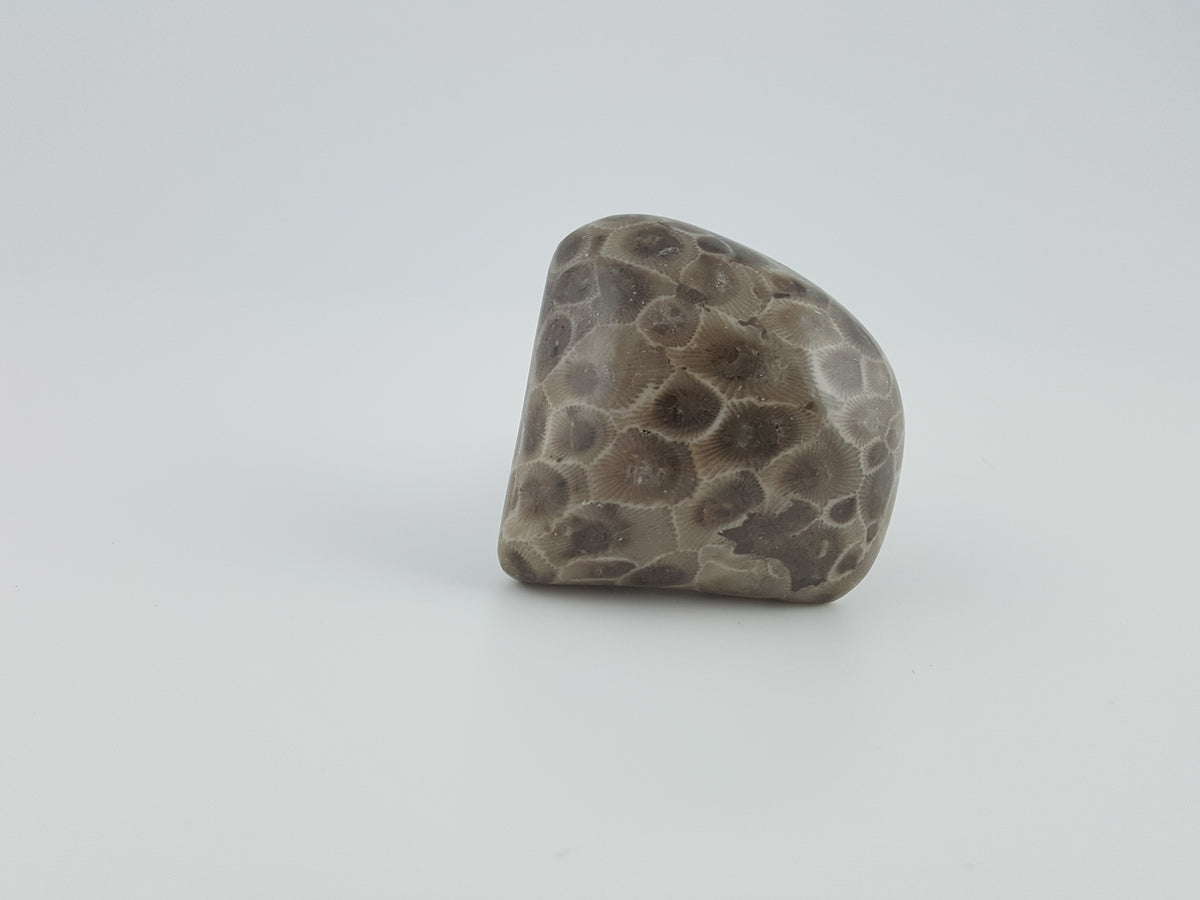 Petoskey Stone Wine Stopper