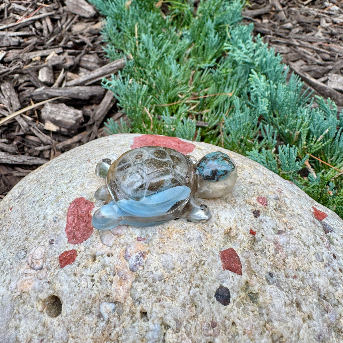 Michigan Rocks Mini Turtles
