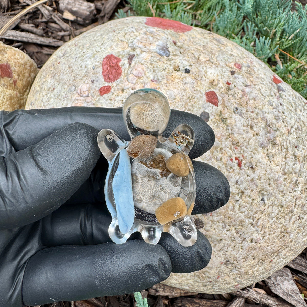 Michigan Rocks Mini Turtles