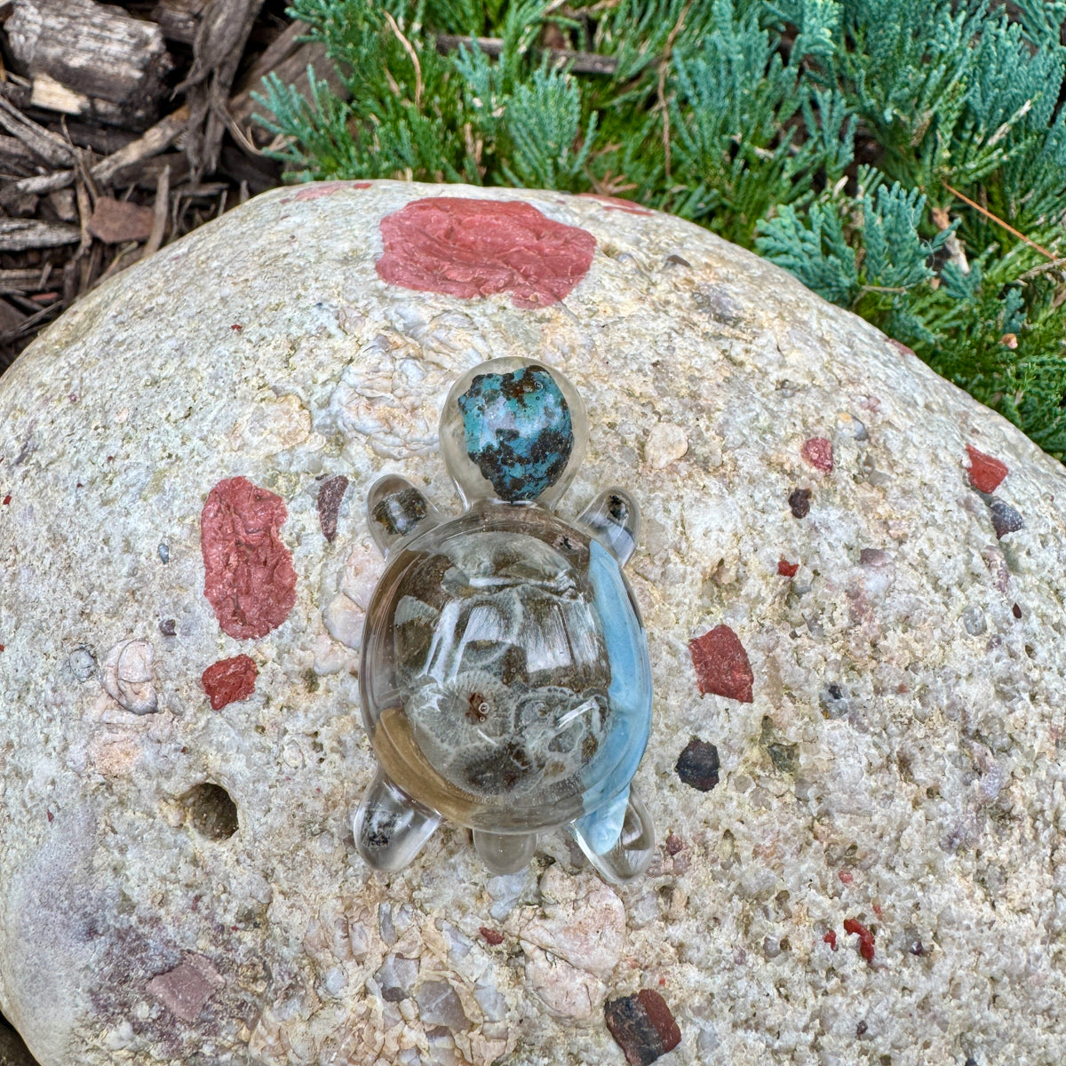 Michigan Rocks Mini Turtles