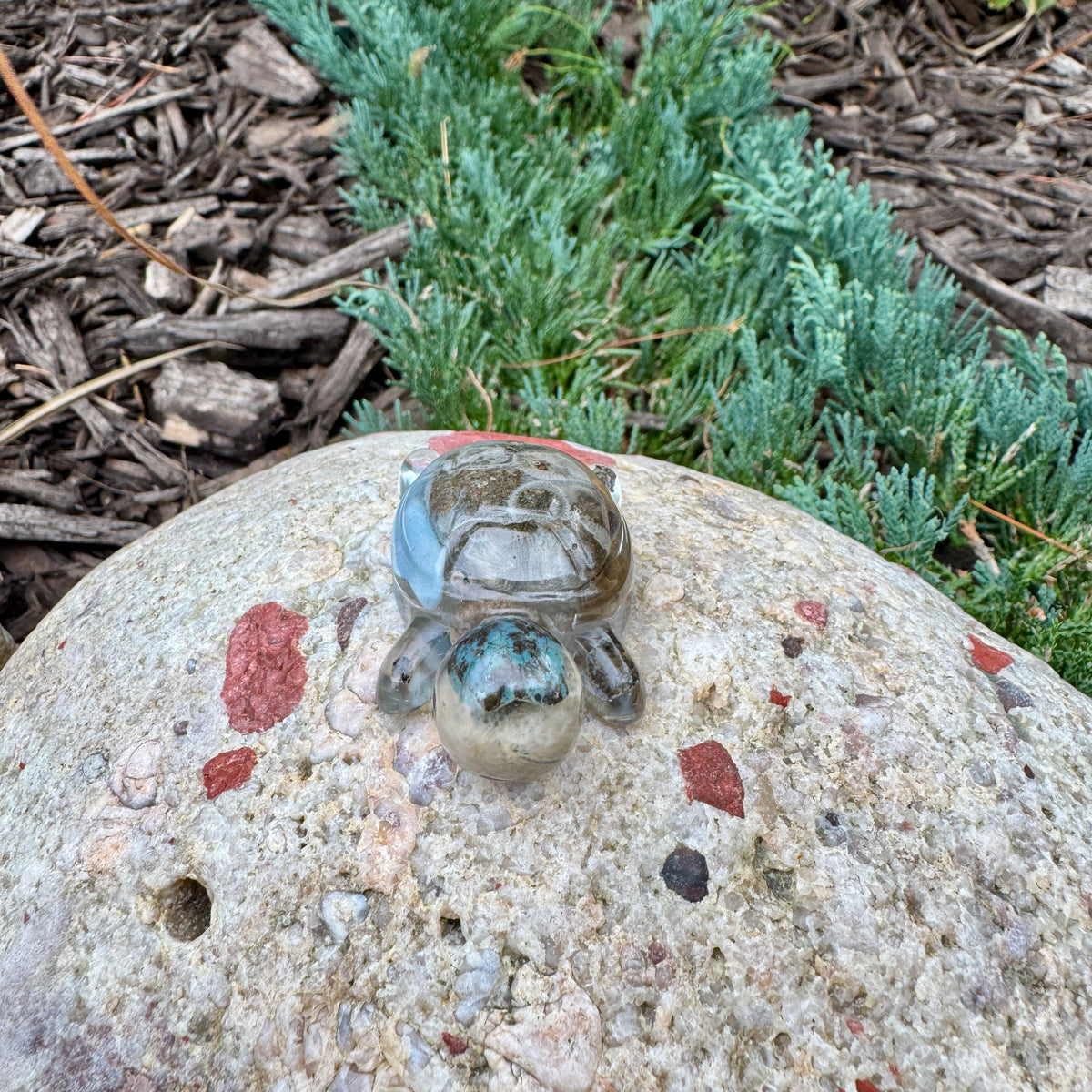 Michigan Rocks Mini Turtles