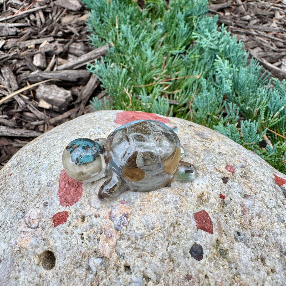 Michigan Rocks Mini Turtles