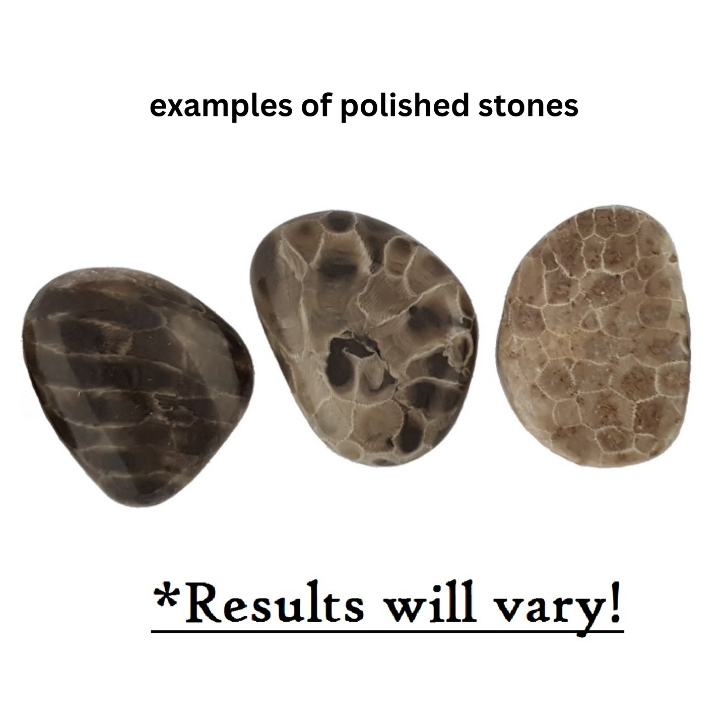 Petoskey Stone Polishing Kit