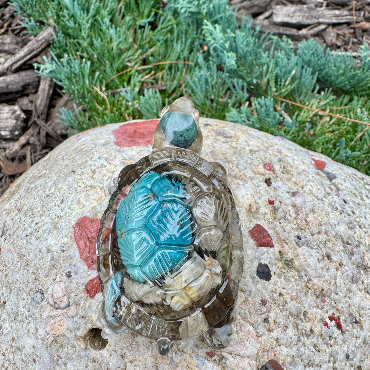 Michigan Rocks Mini Turtles