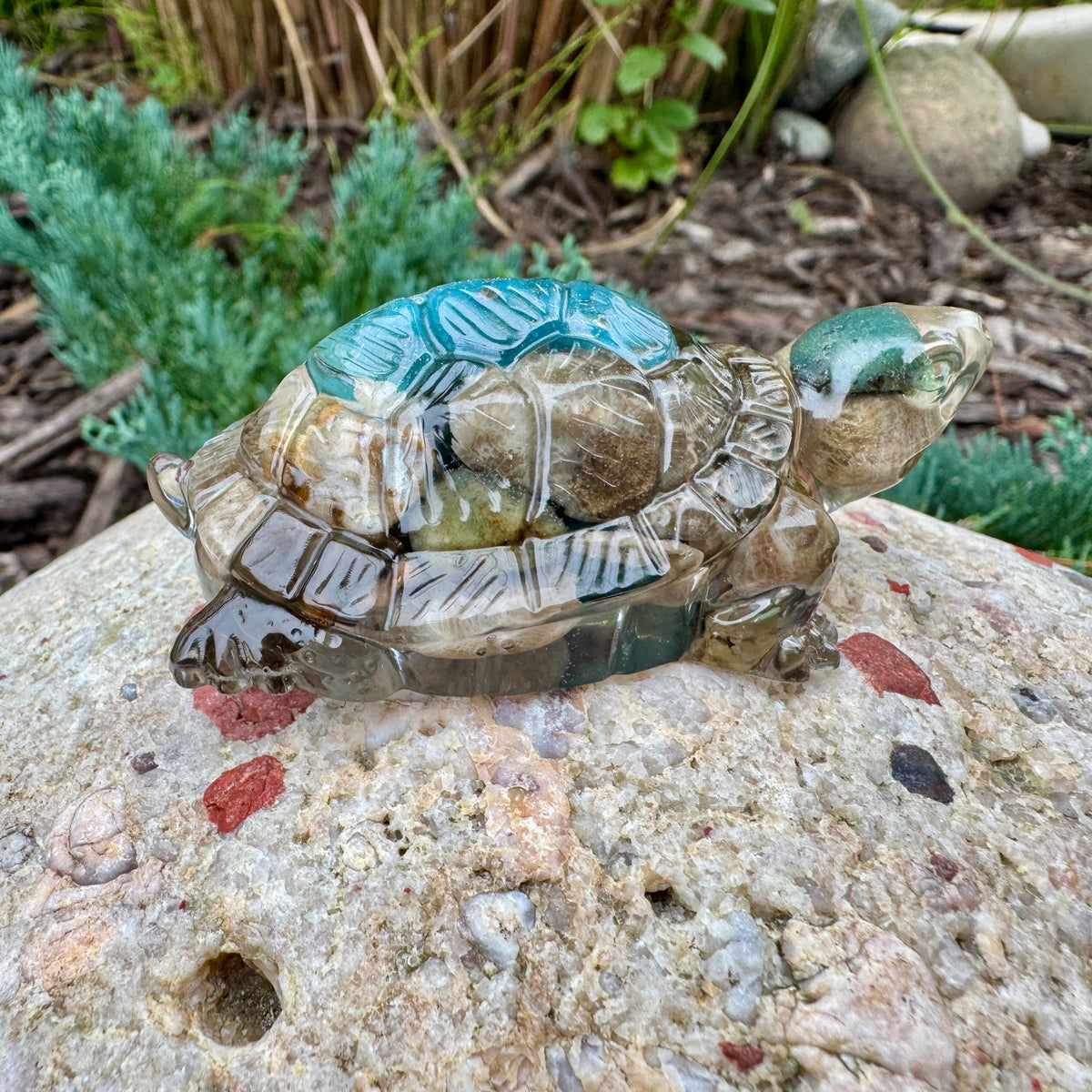 Michigan Rocks Mini Turtles